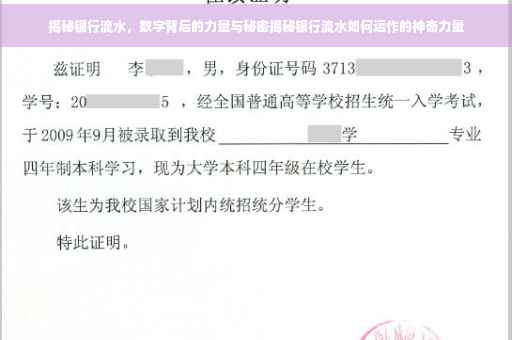 揭秘银行流水，数字背后的力量与秘密揭秘银行流水如何运作的神奇力量