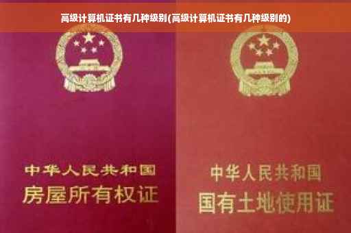 高级计算机证书有几种级别(高级计算机证书有几种级别的)