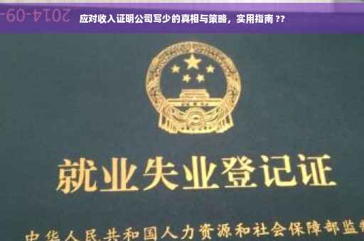应对收入证明公司写少的真相与策略，实用指南 ??