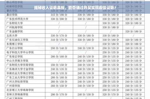 揭秘收入证明真相，能否通过购买实现虚假证明？