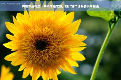 共创双赢格局，共筑未来之路，客户合作证明书撰写指南