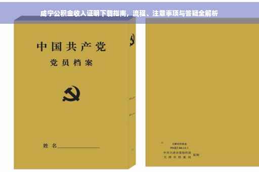 咸宁公积金收入证明下载指南，流程、注意事项与答疑全解析
