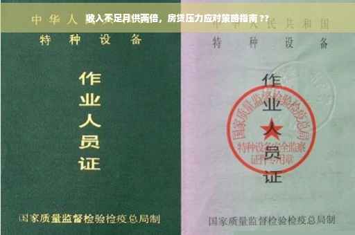 收入不足月供两倍，房贷压力应对策略指南 ??