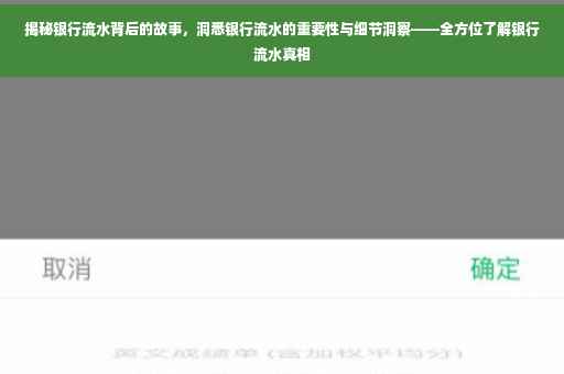 揭秘银行流水背后的故事，洞悉银行流水的重要性与细节洞察——全方位了解银行流水真相