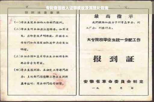 专利备案收入证明模板及其图片指南
