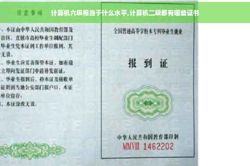 计算机六级相当于什么水平,计算机二级都有哪些证书