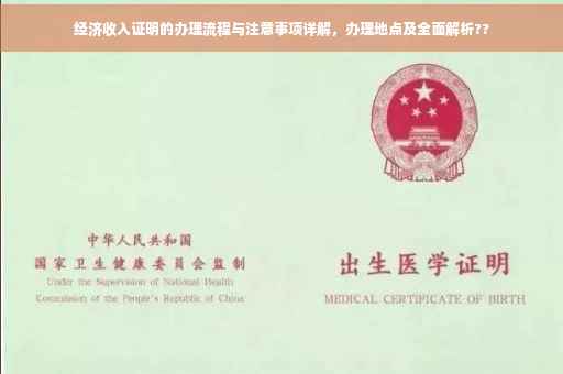 经济收入证明的办理流程与注意事项详解，办理地点及全面解析??