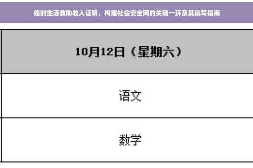 临时生活救助收入证明，构建社会安全网的关键一环及其撰写指南