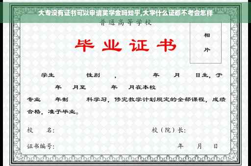 大专没有证书可以申请奖学金吗知乎,大学什么证都不考会怎样