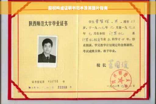 股权构成证明书范本及其图片指南