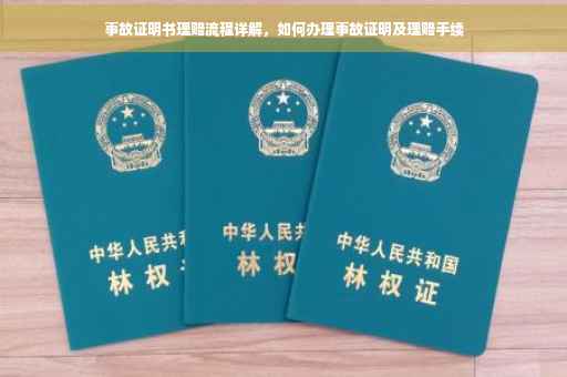 事故证明书理赔流程详解，如何办理事故证明及理赔手续