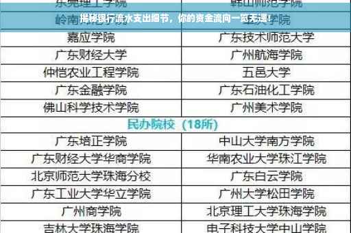 揭秘银行流水支出细节，你的资金流向一览无遗！