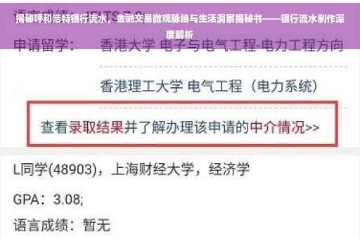 揭秘呼和浩特银行流水，金融交易微观脉络与生活洞察揭秘书——银行流水制作深度解析