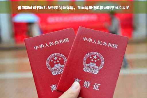 低血糖证明书图片及相关问题详解，全面解析低血糖证明书图片大全