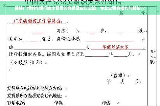 揭秘广州制作银行流水背后的真相及应对之策，专业公司的操作与解析??