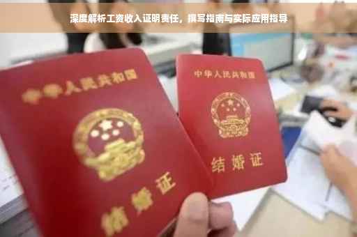深度解析工资收入证明责任，撰写指南与实际应用指导