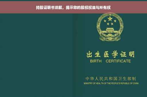 持股证明书详解，揭示您的股权权益与所有权