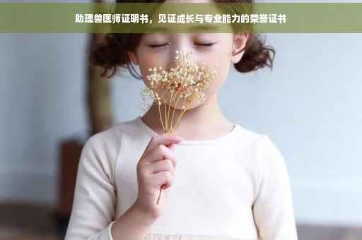 助理兽医师证明书，见证成长与专业能力的荣誉证书