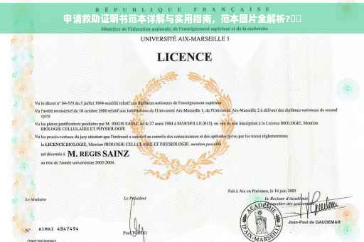 申请救助证明书范本详解与实用指南，范本图片全解析?⚡️