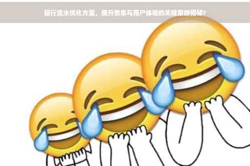 银行流水优化方案，提升效率与用户体验的关键策略揭秘?