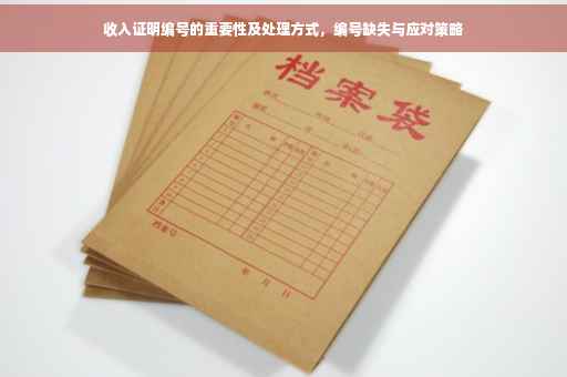 收入证明编号的重要性及处理方式，编号缺失与应对策略