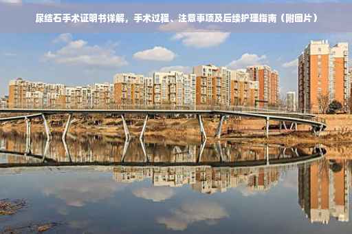 尿结石手术证明书详解，手术过程、注意事项及后续护理指南（附图片）