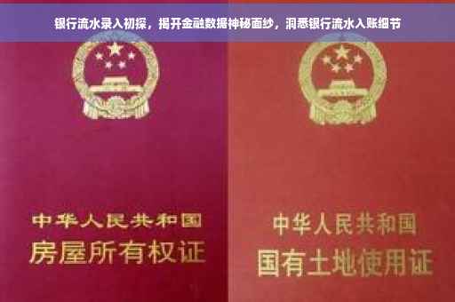 银行流水录入初探，揭开金融数据神秘面纱，洞悉银行流水入账细节
