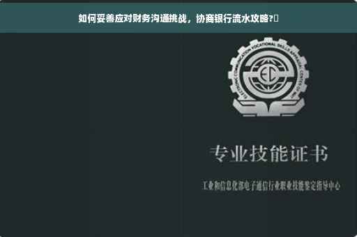 如何妥善应对财务沟通挑战，协商银行流水攻略?✨