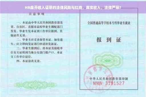 HR虚开收入证明的法律风险与红线，真实收入，法律严惩?
