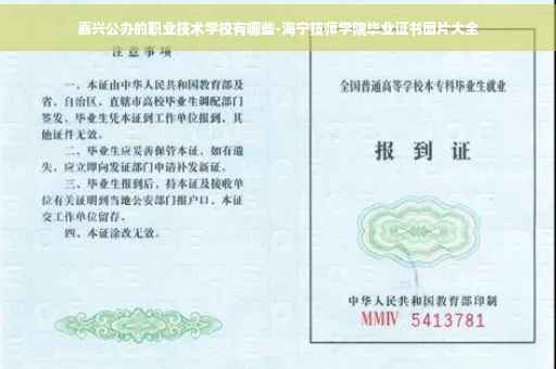 嘉兴公办的职业技术学校有哪些-海宁技师学院毕业证书图片大全