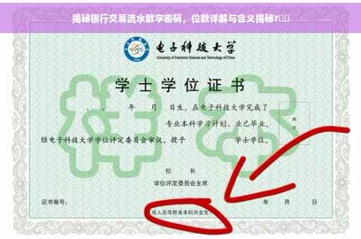 揭秘银行交易流水数字密码，位数详解与含义揭秘?⚡️