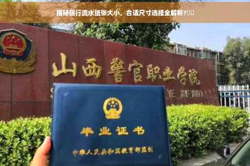揭秘银行流水纸张大小，合适尺寸选择全解析?⚡️