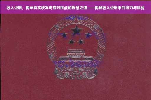 收入证明，揭示真实状况与应对挑战的智慧之道——揭秘收入证明中的潜力与挑战