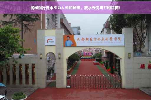 揭秘银行流水不为人知的秘密，流水去向与打印指南！