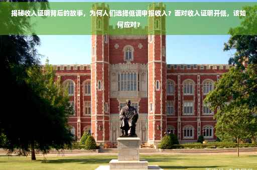 揭秘收入证明背后的故事，为何人们选择低调申报收入？面对收入证明开低，该如何应对？