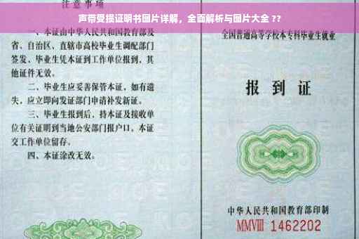 声带受损证明书图片详解，全面解析与图片大全 ??