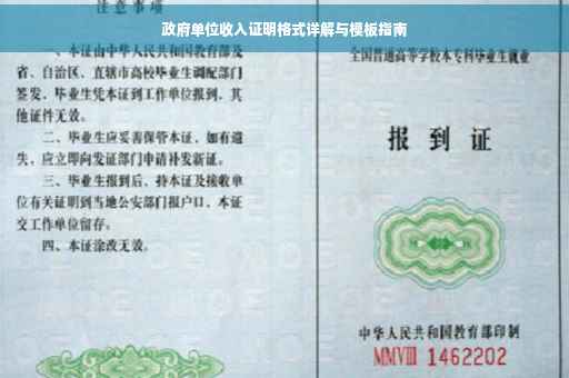 政府单位收入证明格式详解与模板指南