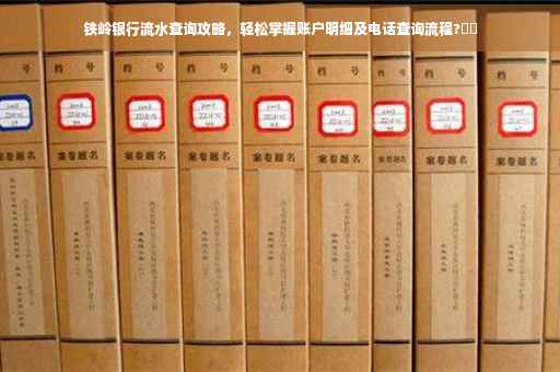 铁岭银行流水查询攻略，轻松掌握账户明细及电话查询流程?⚡️