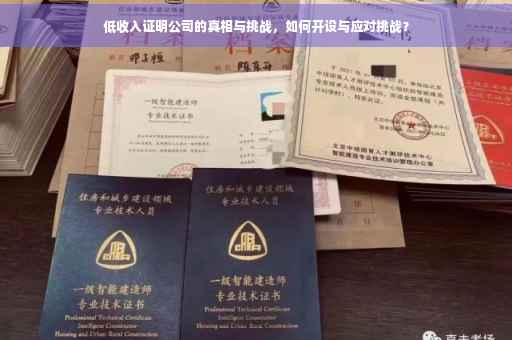 低收入证明公司的真相与挑战，如何开设与应对挑战？