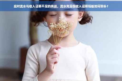 应对流水与收入证明不足的挑战，流水充足但收入证明短板如何弥补？