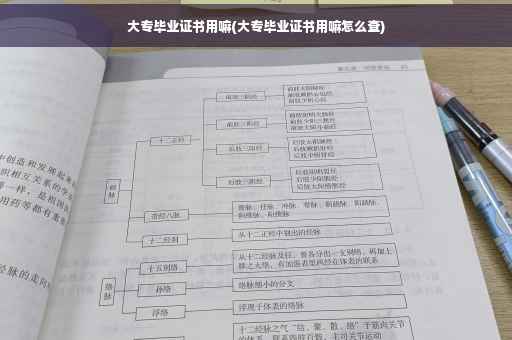 大专毕业证书用嘛(大专毕业证书用嘛怎么查)