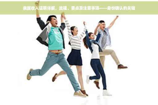 亲属收入证明详解，流程、要点及注意事项——身份确认的关键