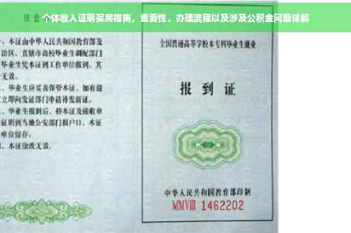个体收入证明买房指南，重要性、办理流程以及涉及公积金问题详解