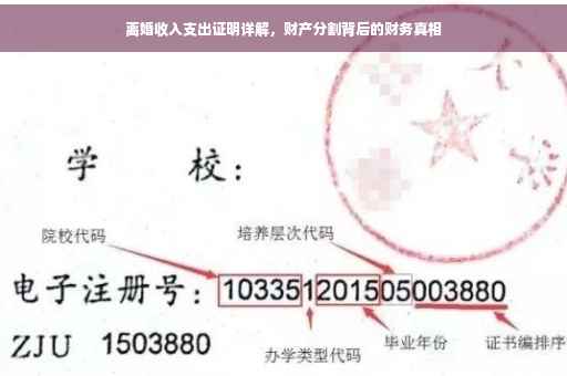 离婚收入支出证明详解，财产分割背后的财务真相