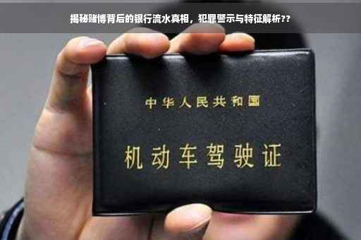 揭秘赌博背后的银行流水真相，犯罪警示与特征解析??