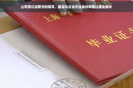公司登记证明书的撰写、解读与企业合法身份获取过程全解析