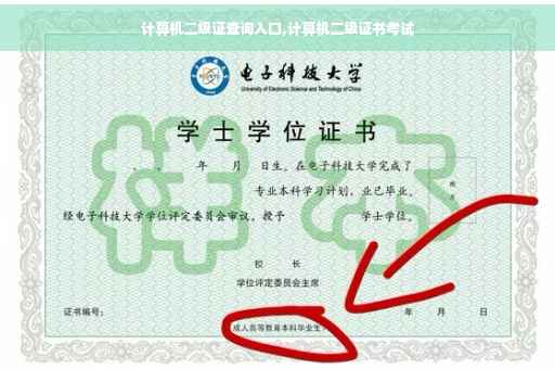 计算机二级证查询入口,计算机二级证书考试