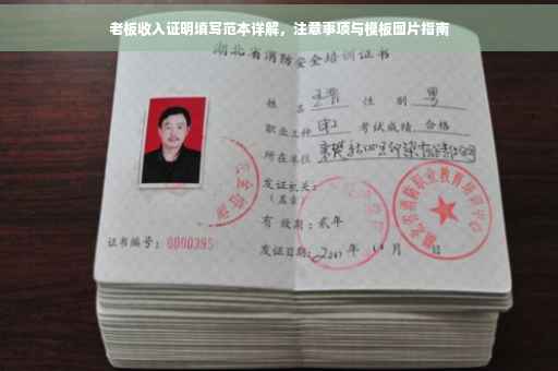 老板收入证明填写范本详解，注意事项与模板图片指南