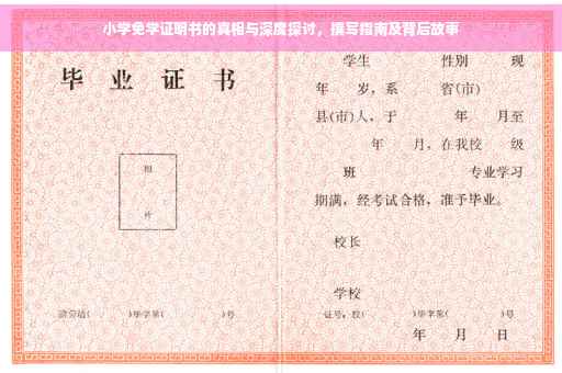 小学免学证明书的真相与深度探讨，撰写指南及背后故事