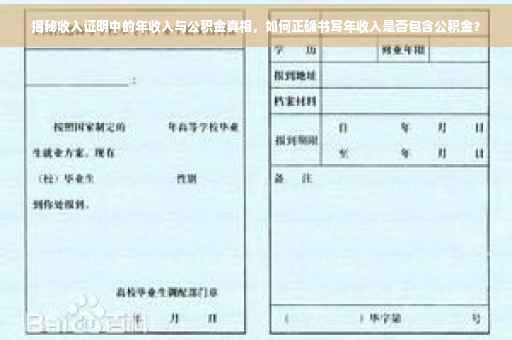 揭秘收入证明中的年收入与公积金真相，如何正确书写年收入是否包含公积金？
